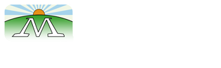 Platteville Web Solutions Logo